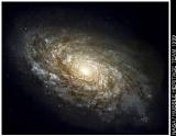 NGC4414_Dusty_Spiral.jpg